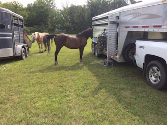 Meet your Posher, Loren and marge - Picture 1 of 1